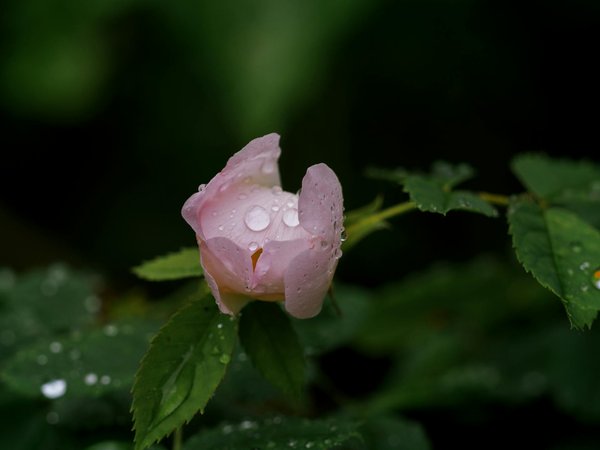 Créer une ambiance unique avec le ruban led : tendances, conseils et astuces pratiques
