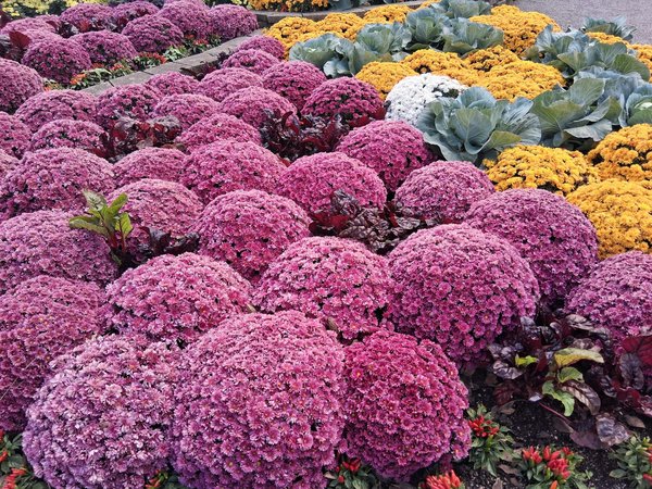 Améliorez votre confort et votre isolation : les avantages surprenants des rideaux thermiques